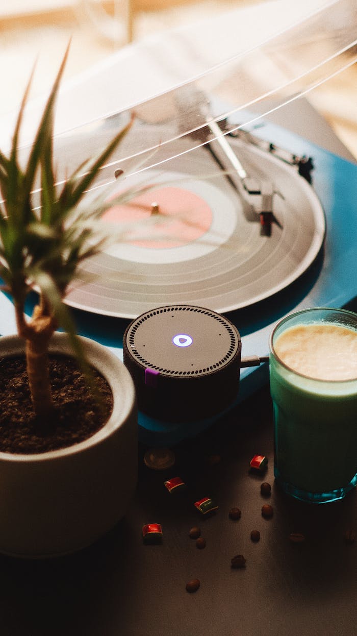 A cozy setup featuring a vintage turntable, potted plant, and coffee, creating a nostalgic ambiance.